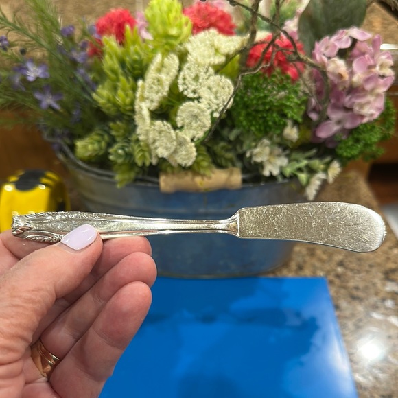 Wallace Silversmiths Stradivari  Silver Butter Knife, grandmillennial style - Picture 1 of 11